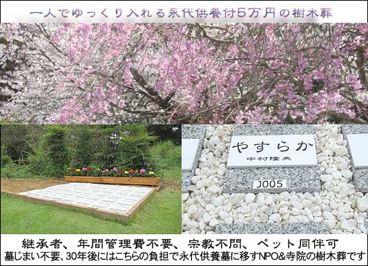 5万円の樹木葬